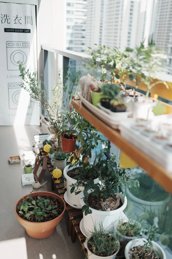 Horta com temperos e plantas em vasos na varanda de um apartamento